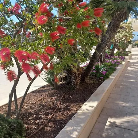 App Dalia Losinj Apartamento *