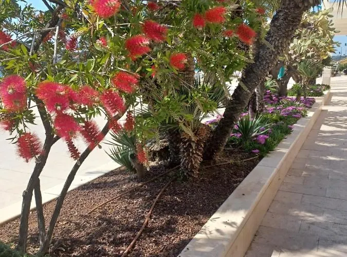 App Dalia Losinj Apartamento *